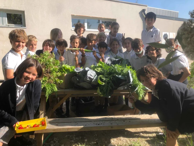 Students proudly display freshly harvested vegetables from their school garden, gathered around an outdoor table filled with carrots, cabbages, and leafy greens.