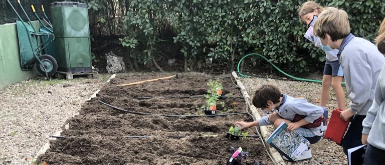 Semana de la educación medioambiental
