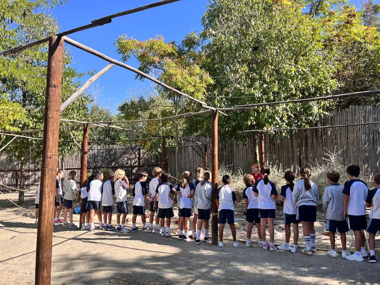 Exploring the Past at Arqueopinto