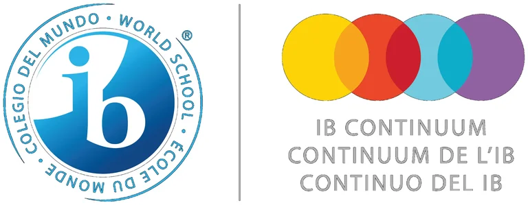 IB Continuum 