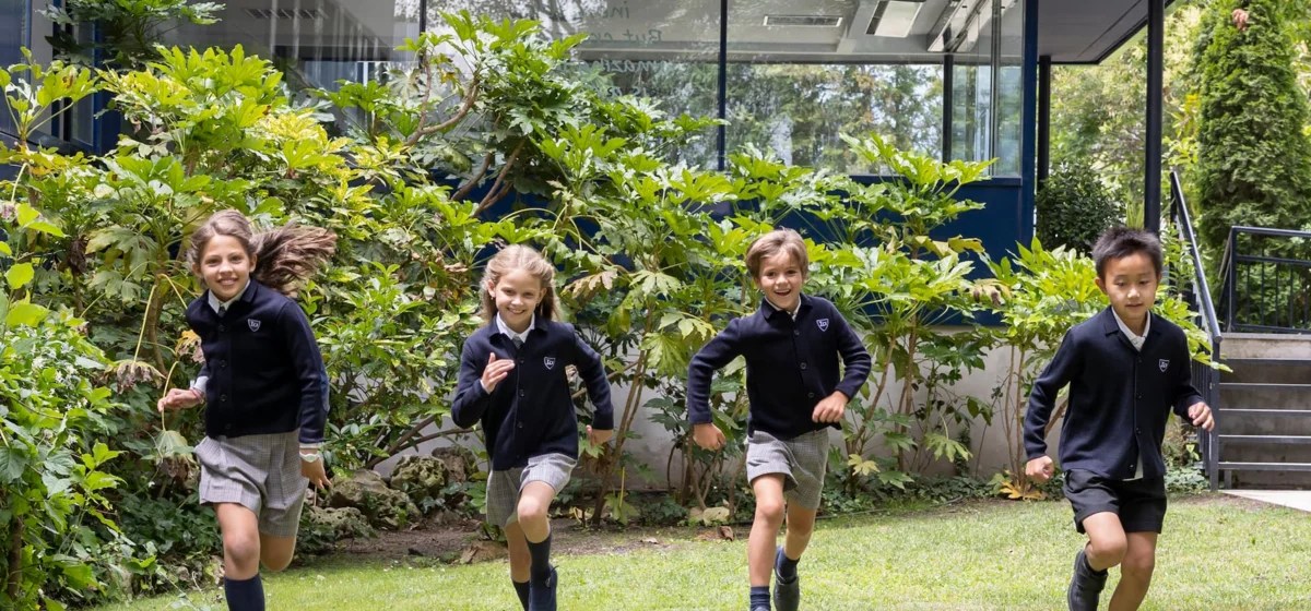 Solicitar información